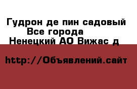 Гудрон де пин садовый - Все города  »    . Ненецкий АО,Вижас д.